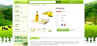 網頁設計開發中的關鍵要素 動畫設計與后臺系統集成