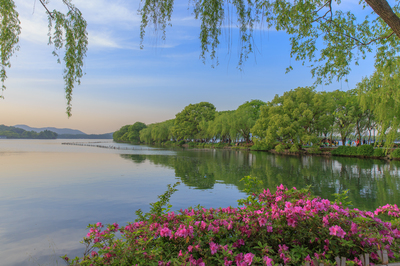 詩(shī)畫西湖·春曉蘇堤——邀您共赴一場(chǎng)千年風(fēng)雅的春日之約