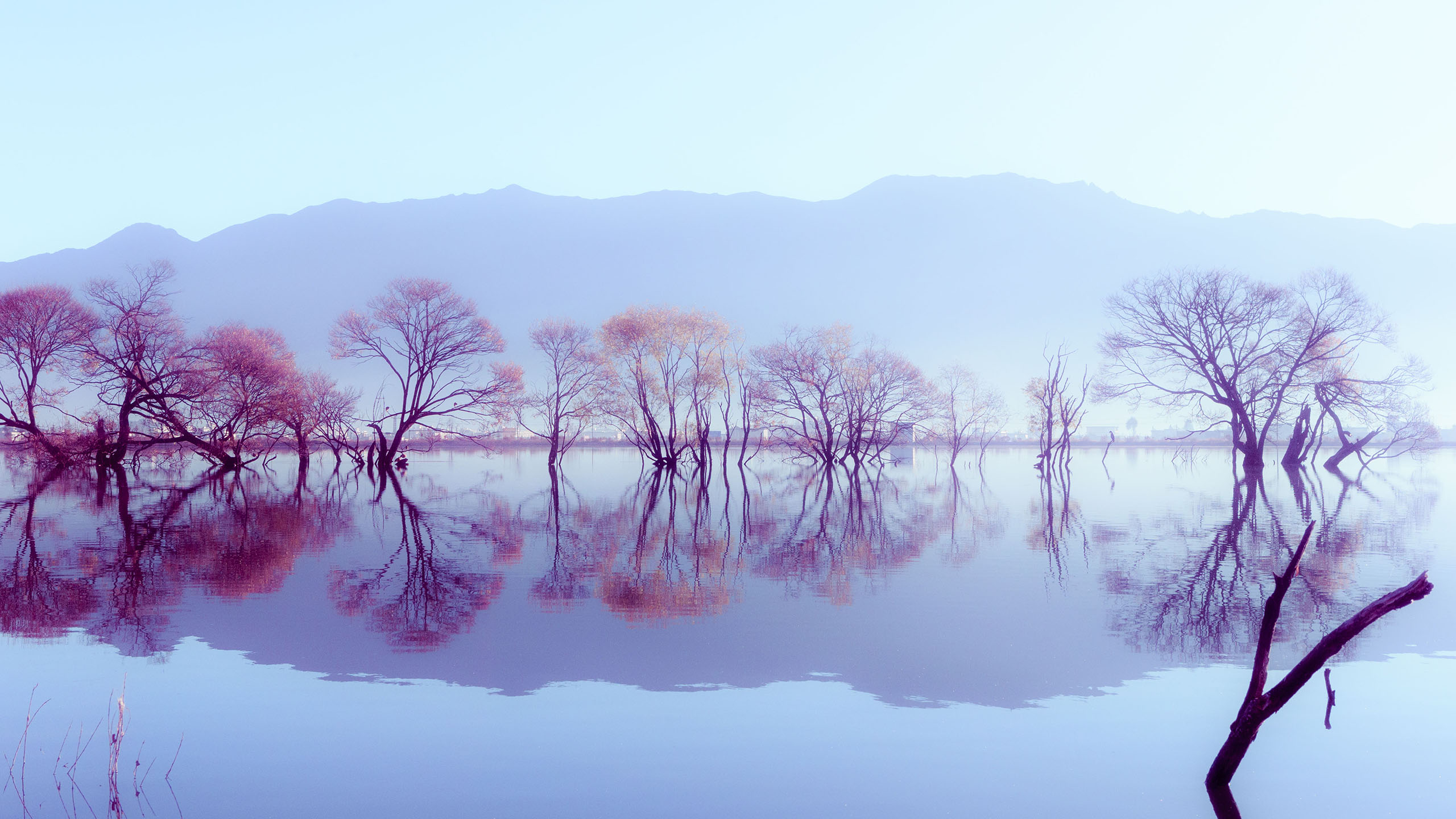 秋雨潤(rùn)澤，一路驚艷 從扎蘭屯到柴河風(fēng)景區(qū)的色彩之旅